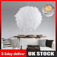 Modern Fluffy Feather Light