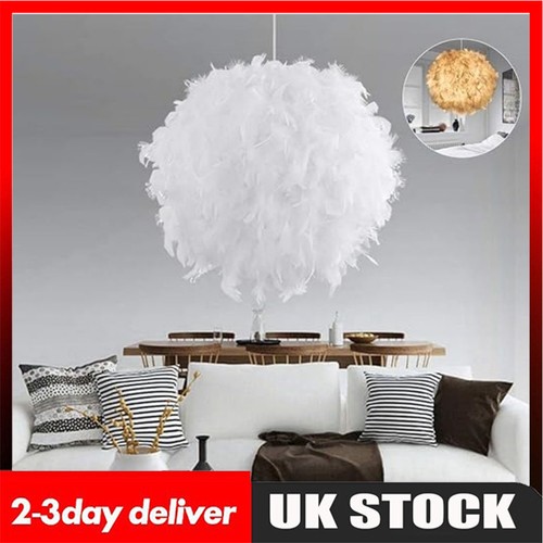 Modern fluffy feather - modern, light
