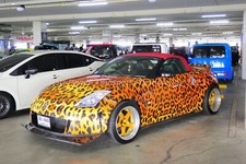 Car Photo 12x8 - Nissan