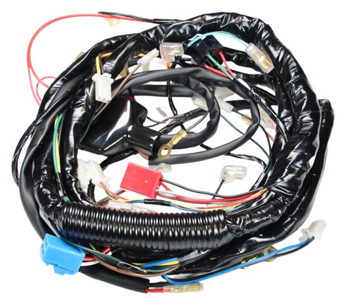 Wiring harness tnt - harness,