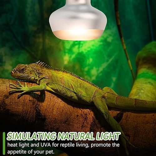 Reptile lamp watt 2 x - 75,