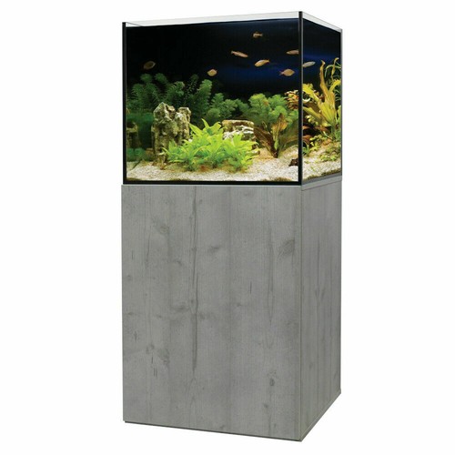 Aqua one aquarium - fish, tanks