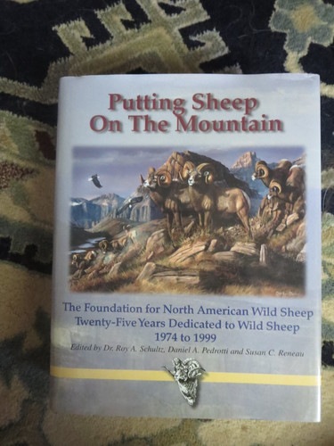 Putting sheep the mountain - sheep,