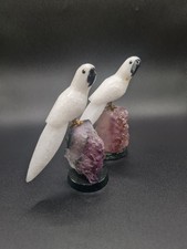 Brazilian Crystal Bird Parrot