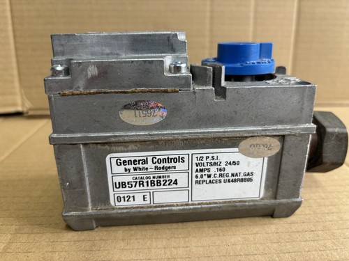Glow worm 2in - worm, 45-60