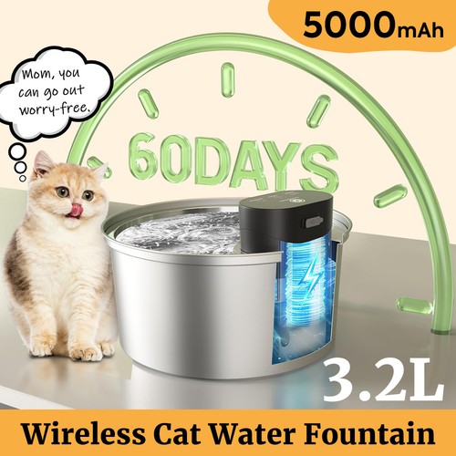 Large cordless dog - large,