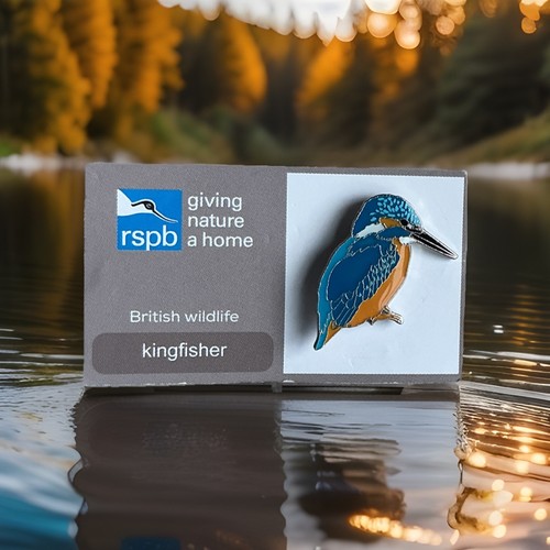 Rspb pin badge - badge, gnah