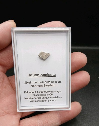 Muonionalusta meteorite slice