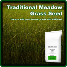 Traditional Meadow Grass Seed Mix Make A Wild Feature Or Add To Wild flower Seed