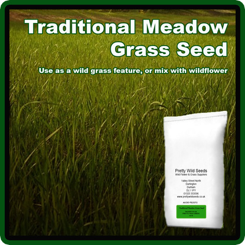Traditional meadow grass - meadow, seed