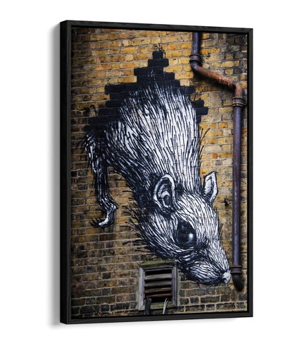 Cool rat wall - rat, home