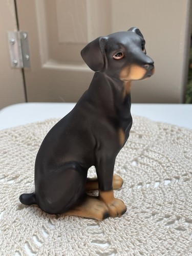 Doberman pinscher puppy - doberman,