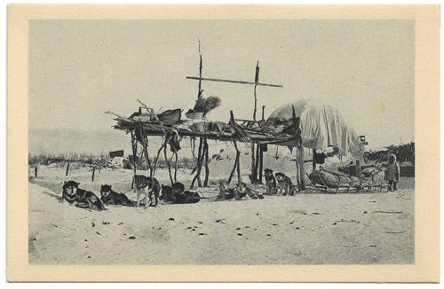 Postcard the express dog - the,