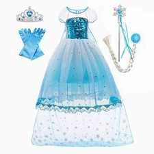 Girls Elsa Costume Princess