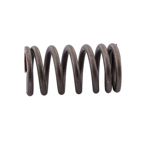 Sbt outer valve spring for - valve,
