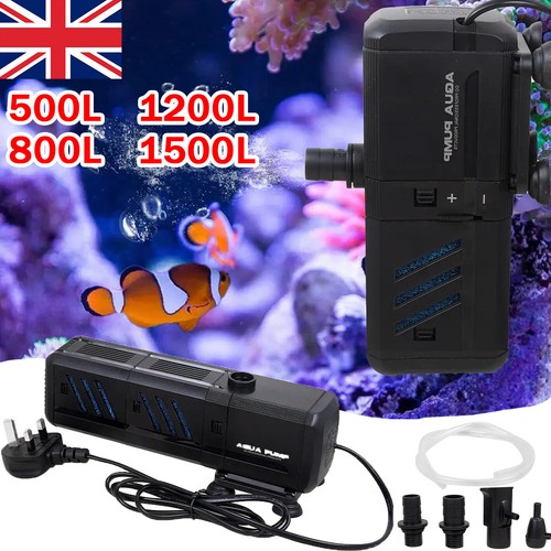 Aquarium fish tank - in,