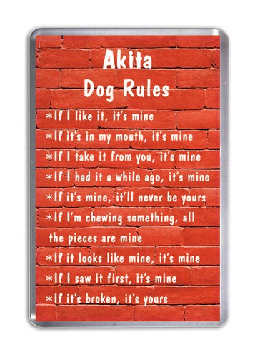 Akita dog rules funny - funny,