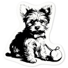 'yorkie puppy with toy' Clear