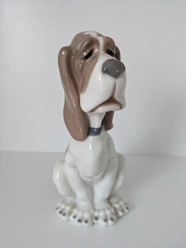 Lovely nao blood - nao, dog