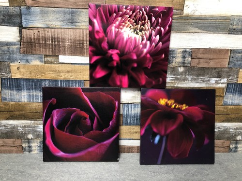 Set floral canvases in - set,