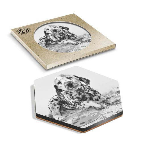 Hexagon coaster bw - 1,