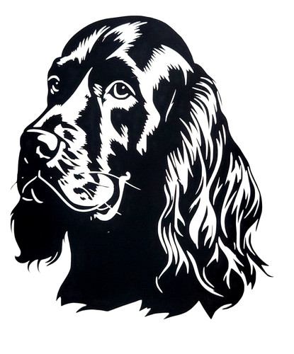 English spaniel cocker - 1x,