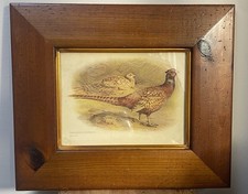Vintage Framed Pheasant Print Phasianus Colchicus C Whymper Gallery Wall Rustic