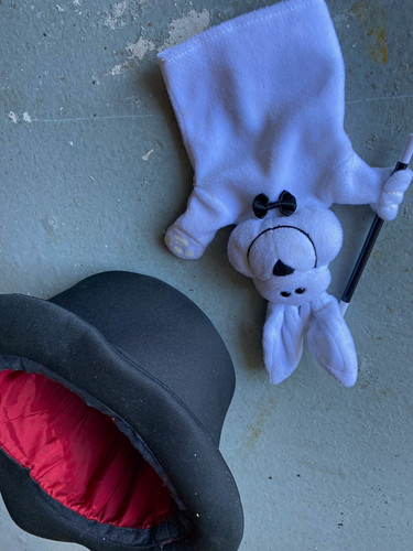 White rabbit hand puppet with - hand,