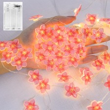 Flower Fairy String Lights, 2M