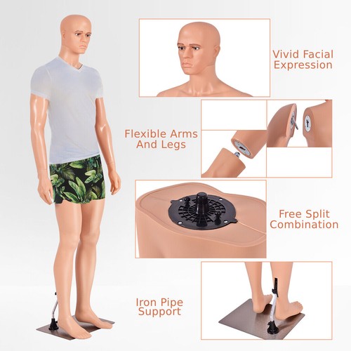 Life size male mannequin - male,