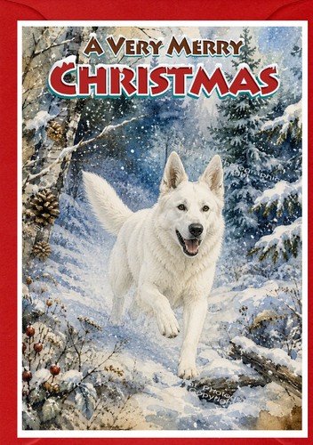 German shepherd dog - dog, (white)