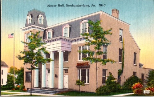 Vintage postcard moose hall - vintage,