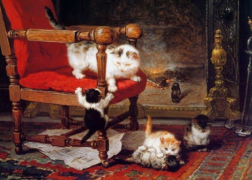 Henriette ronner knip cat - henriette,