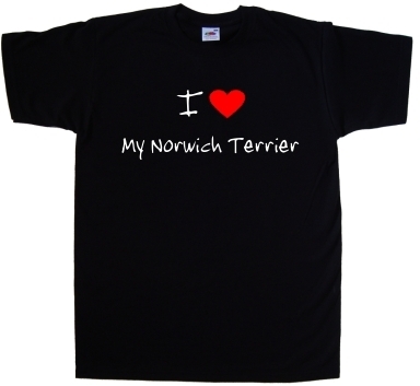 Love heart norwich - my,