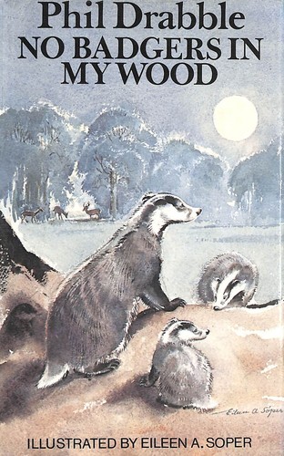 Badgers wood by - in,