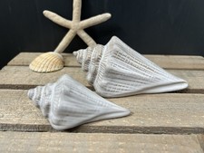 2xNew Cream Glazed Porcelain