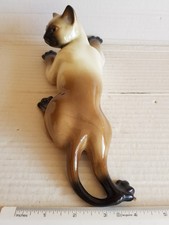 Climbing Siamese Cat by