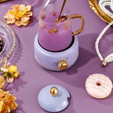 Portable Electric Kettle Stew