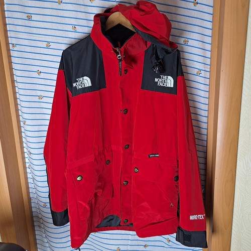 The north face mens gore - the,