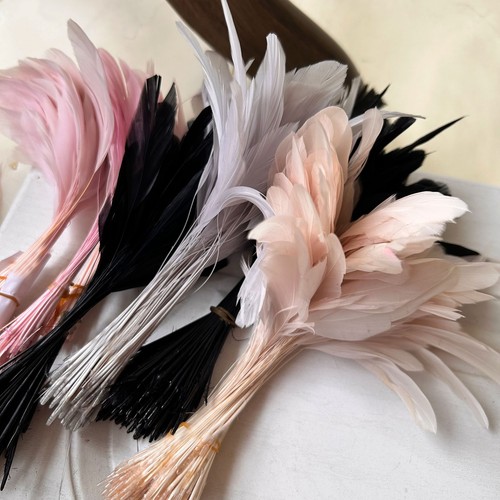 Assorted colour feathers coque - feathers,