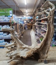 Large Shinrin Root Wood Pieces