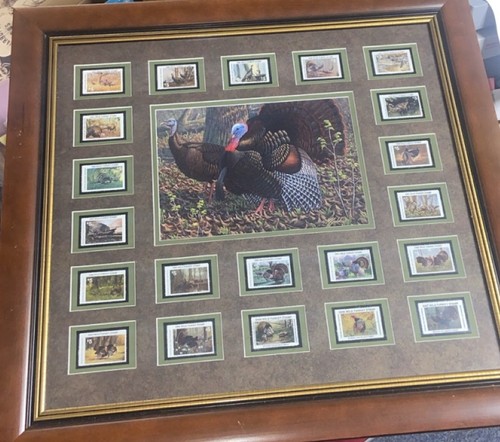 Wild turkey federation - wild,