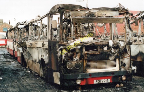 Photo bus belfast corporation - bus,