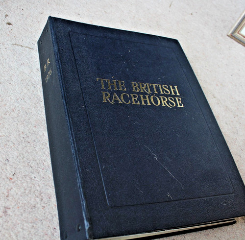 The british racehorse 1976 - the,