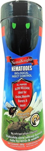 Nematode biological insect - nematode,
