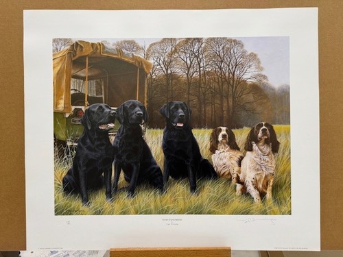 Nigel hemming great - nigel,