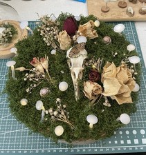 Real Animal Skull Crow