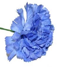 Piece artificial flowers - artificial,
