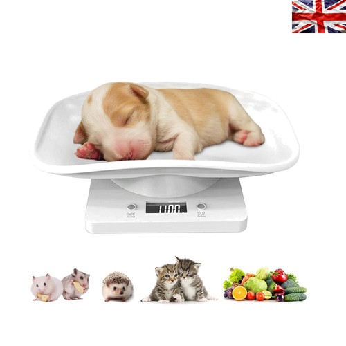 Lightweight portable digital - lightweight,