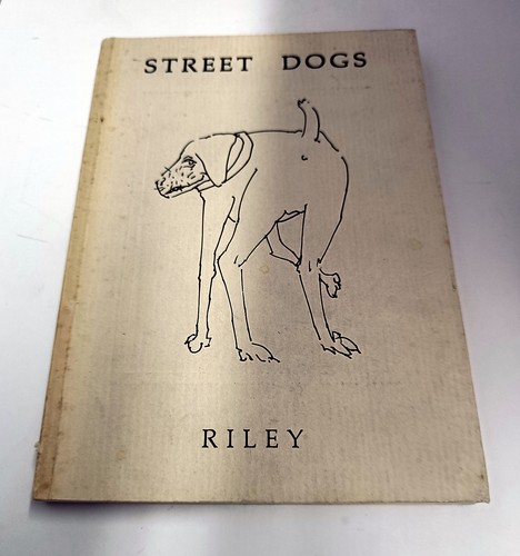 Street dogs harold - street,
